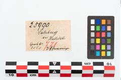 Etikett zu Eisenring (NHMW-PRAE-025990)